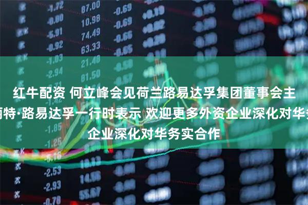 红牛配资 何立峰会见荷兰路易达孚集团董事会主席玛格丽特·路易达孚一行时表示 欢迎更多外资企业深化对华务实合作