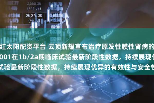 红太阳配资平台 云顶新耀宣布治疗原发性膜性肾病的新型BTK抑制剂EVER001在1b/2a期临床试验最新阶段性数据，持续展现优异的有效性与安全性