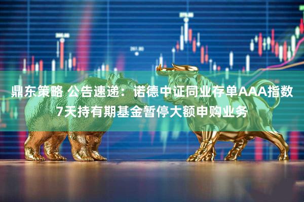 鼎东策略 公告速递：诺德中证同业存单AAA指数7天持有期基金暂停大额申购业务