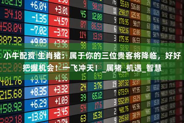 小牛配资 生肖猪：属于你的三位贵客将降临，好好把握机会！一飞冲天！_属猪_机遇_智慧