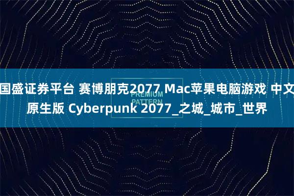 国盛证券平台 赛博朋克2077 Mac苹果电脑游戏 中文原生版 Cyberpunk 2077_之城_城市_世界